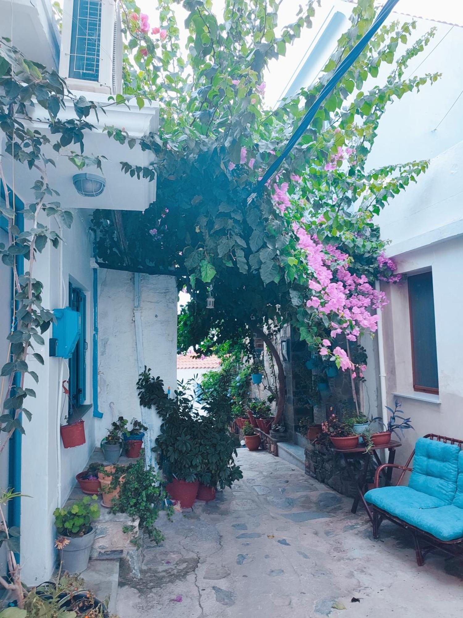 Kastro House Villa Bandar Skopelos Luaran gambar